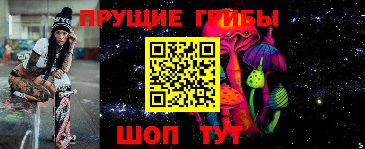 Касимов  Псилоцибиновые грибы прущие грибы  Вход с VPN 